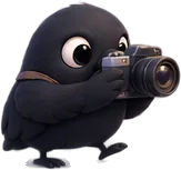 Mena crow holding a camera